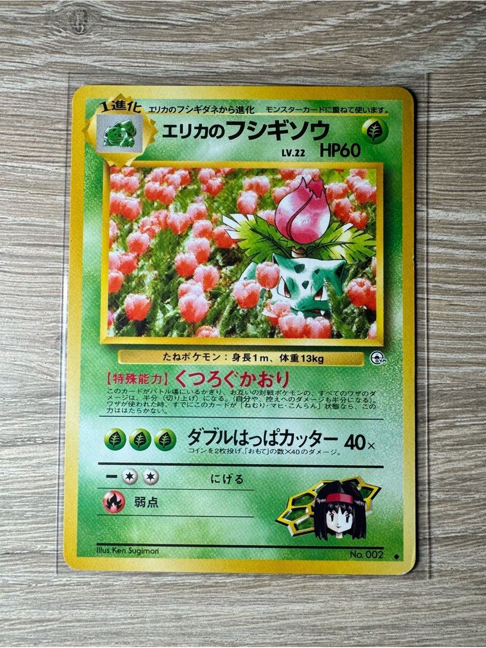 Erika's Ivysaur #2/Pokemon Japanese Challenge from the Darkness